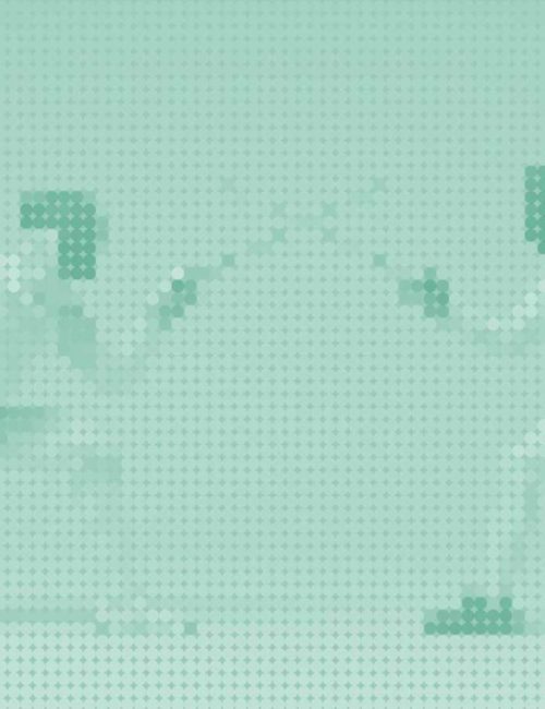 Sportler_Mint_hell_Fechten_low