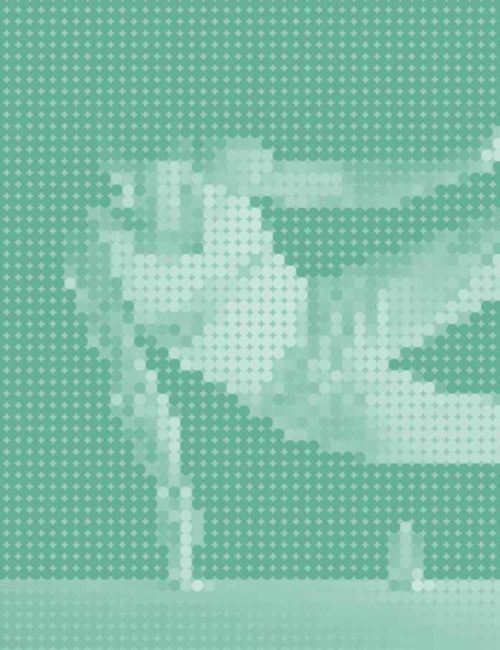 Sportler_Mint_hell_Turnen_low